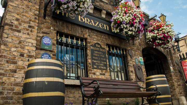 Pubs in Dublin